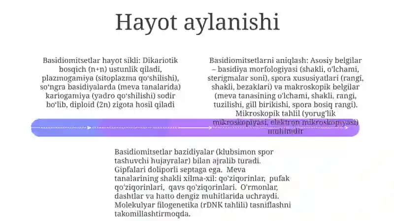 Basidiomitsetlar Ko'payishi 4