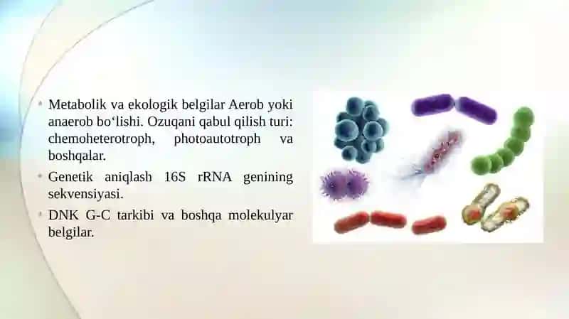 BAKTERIYALARNI BERJI ANIQLAGICHI 4