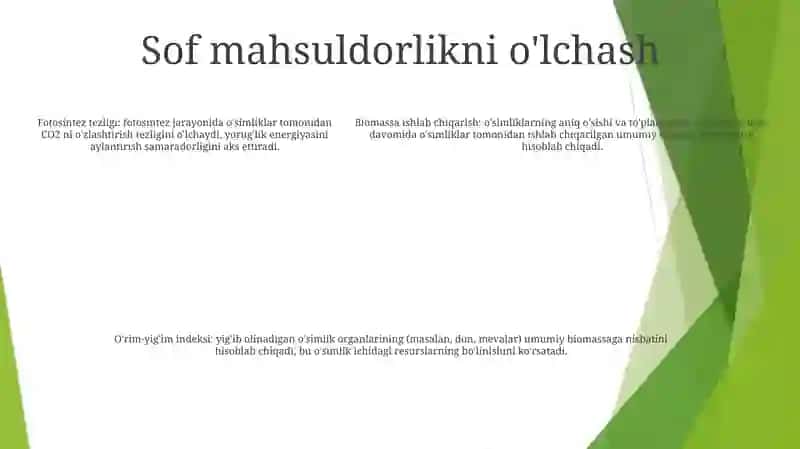 Fotosintezning Sof Mahsuldorligi 4