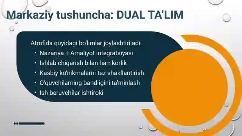 Dual Ta’lim Tizimi 4