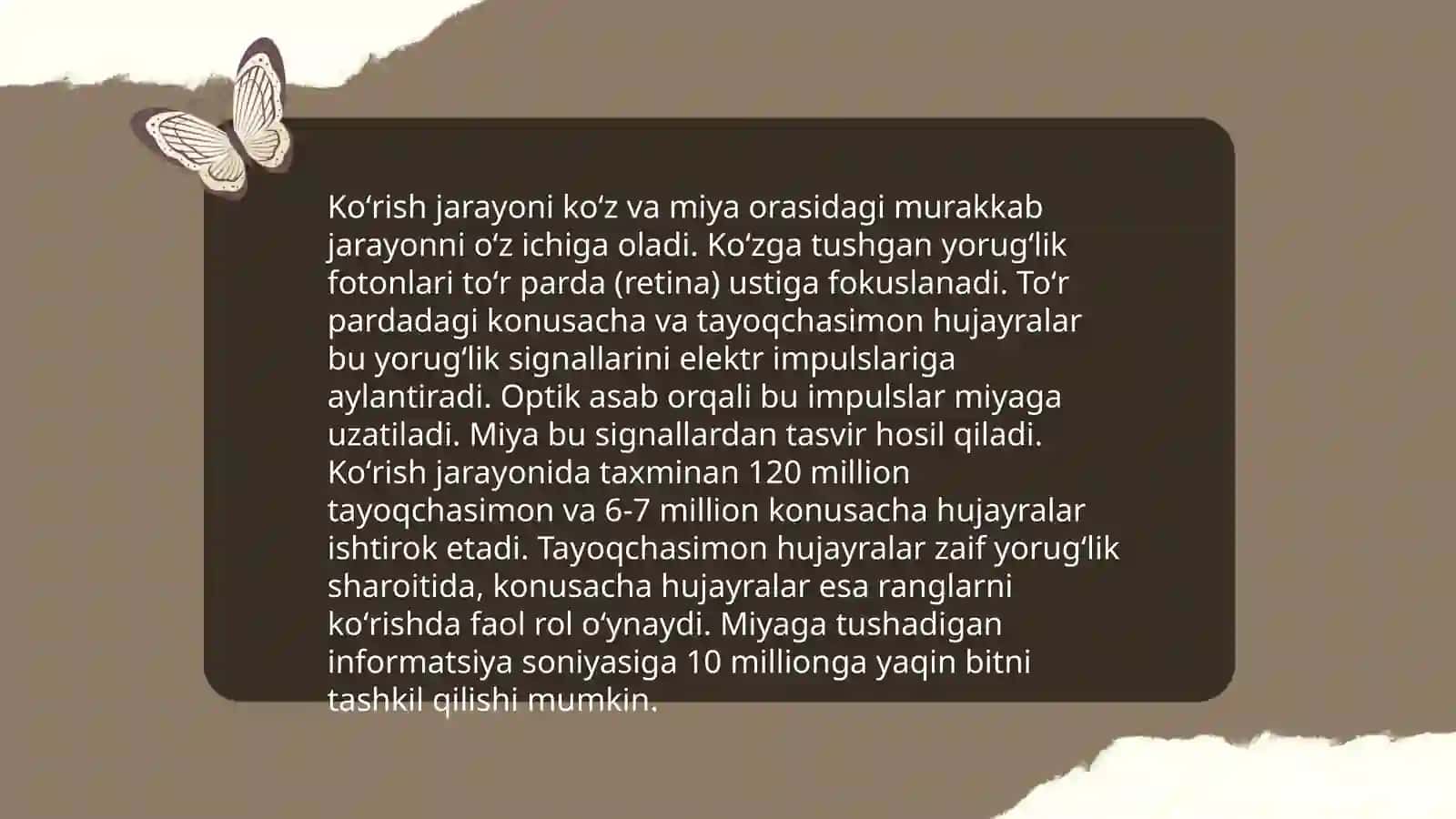 Koʻrish analizatorlari 4