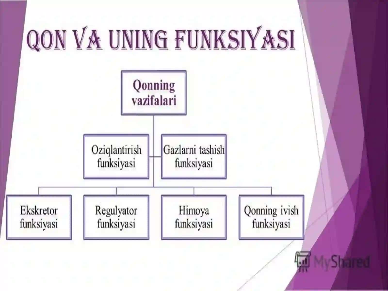 TOSHKENT PEDIATRIYA TIBBIYOT INSTITUTI II PEDIATRIYA FAKULTITI105-GURUH 4