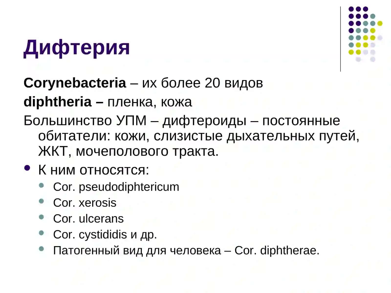 Характеристика возбудителей воздушно – капельных инфекций 4