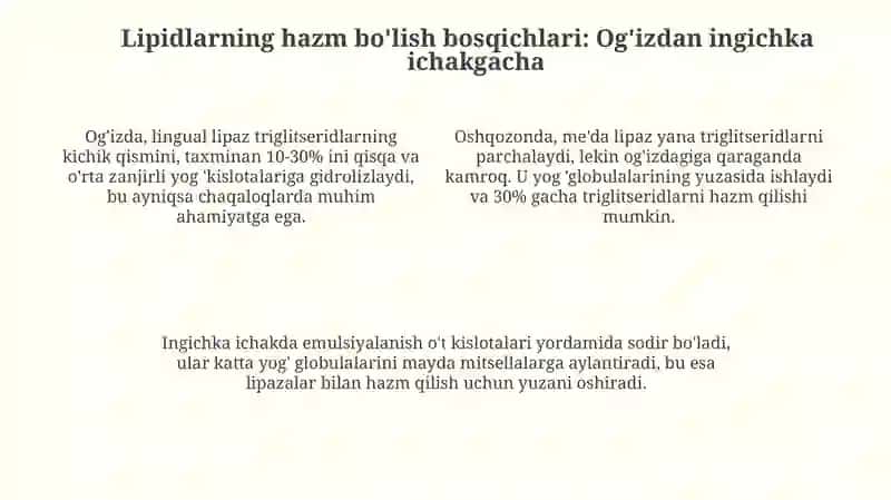 Lipidlarning hazm bo'lishi 4