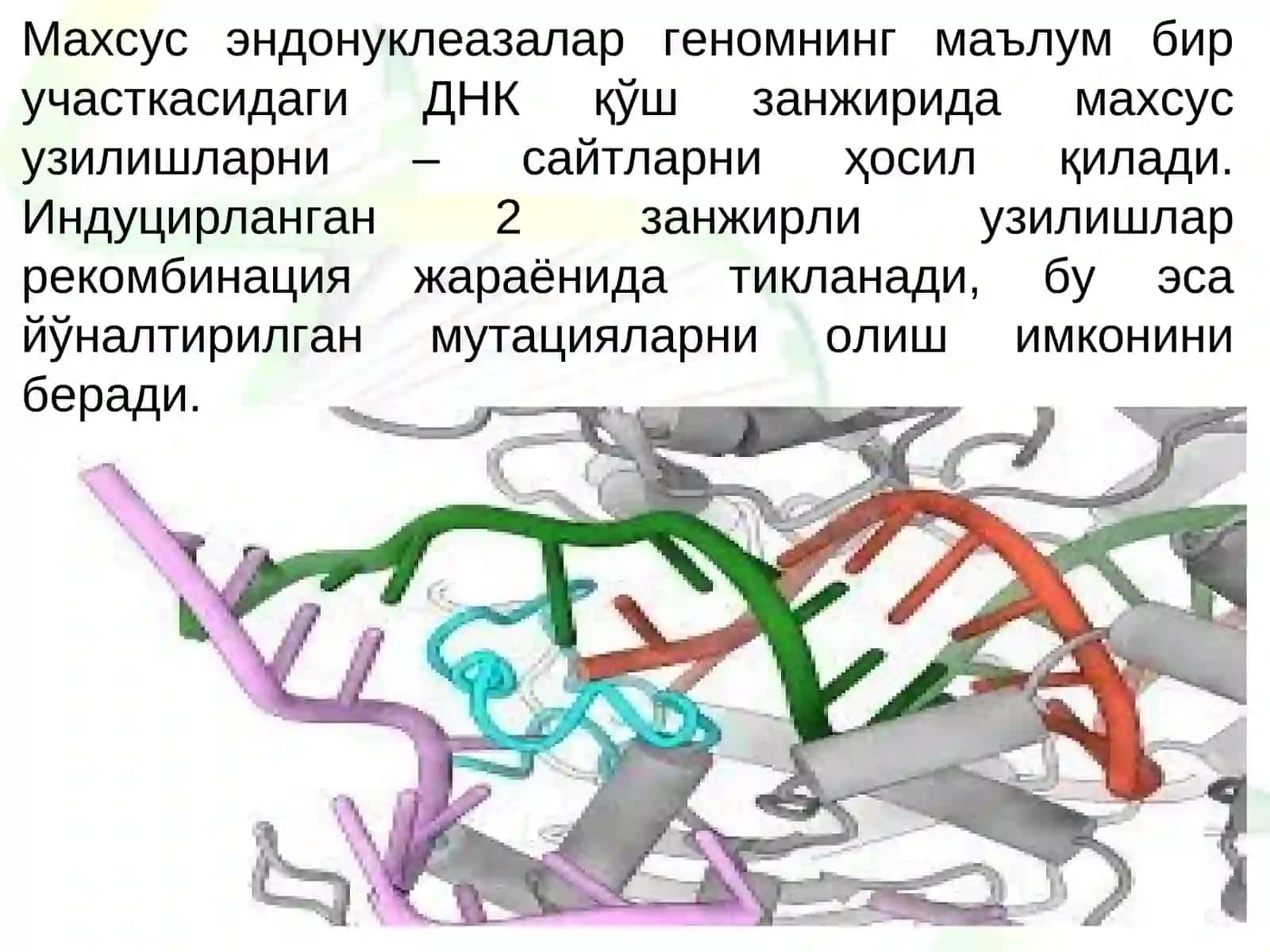Генларни таҳрирлаш 4