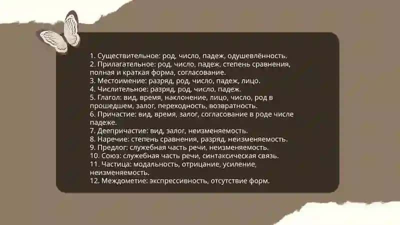 Морфология 4