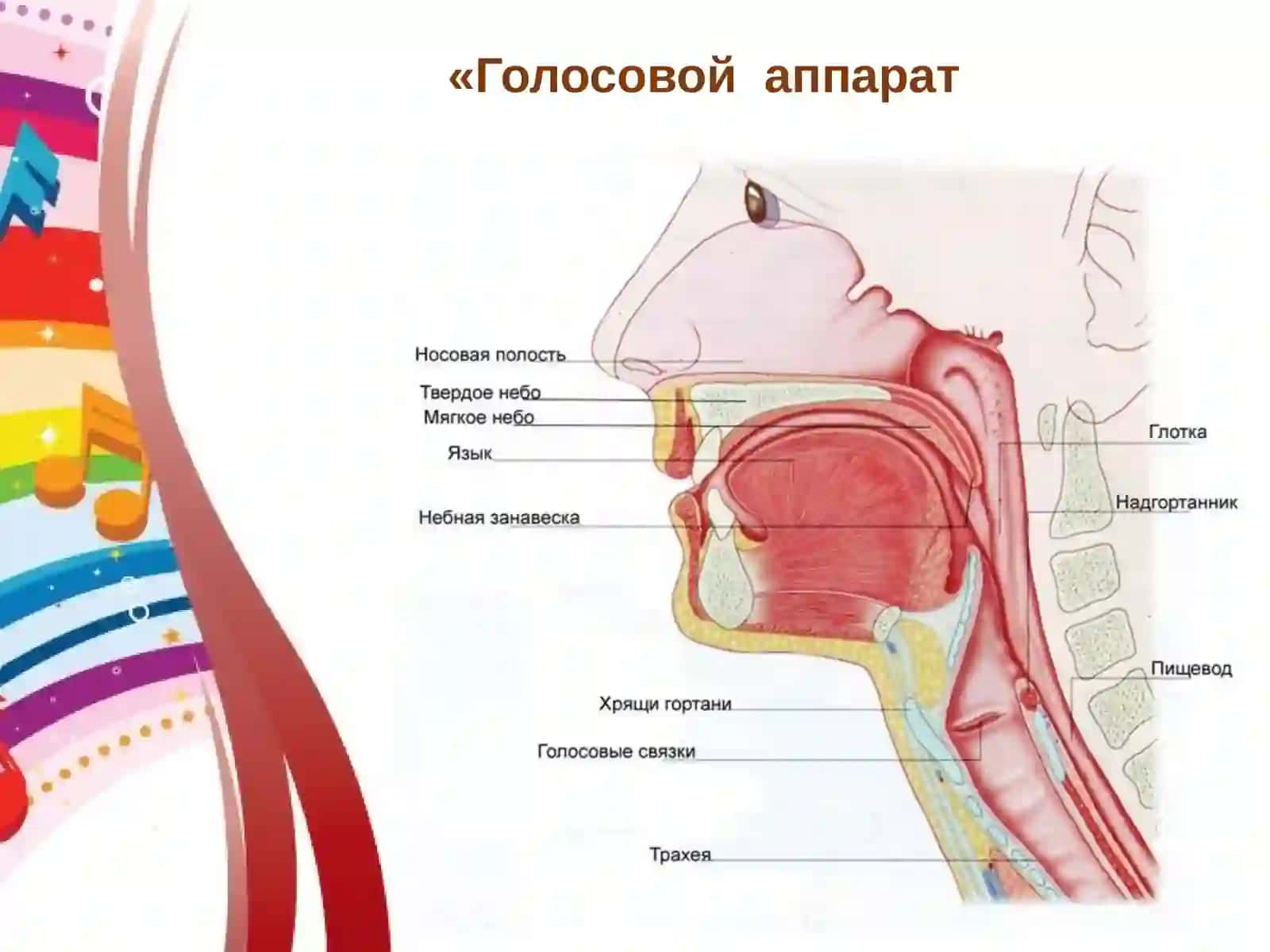«Петь – это здорово!» 4