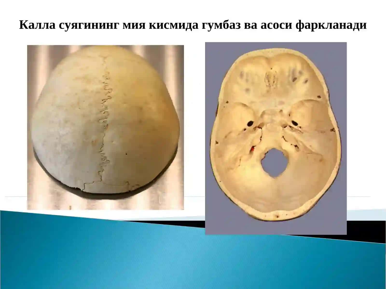 Тошкент Кимё халкаро Университети Тиббий фундаментал фанлар кафедраси 4