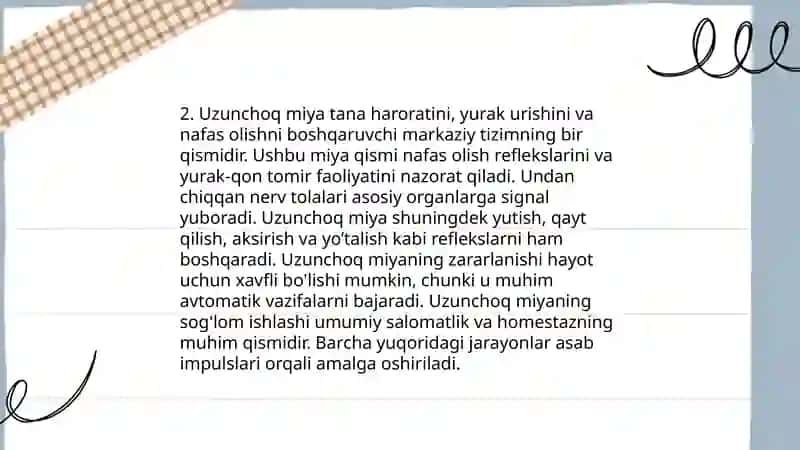 Uzunchoq Miya Anatomiyasi 4