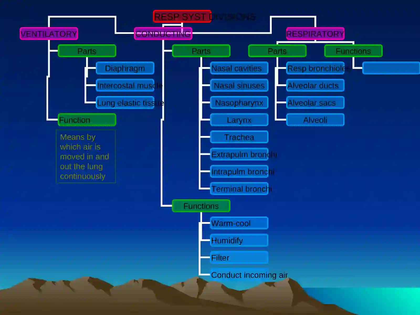 THE RESPIRATORY SYSTEM 4