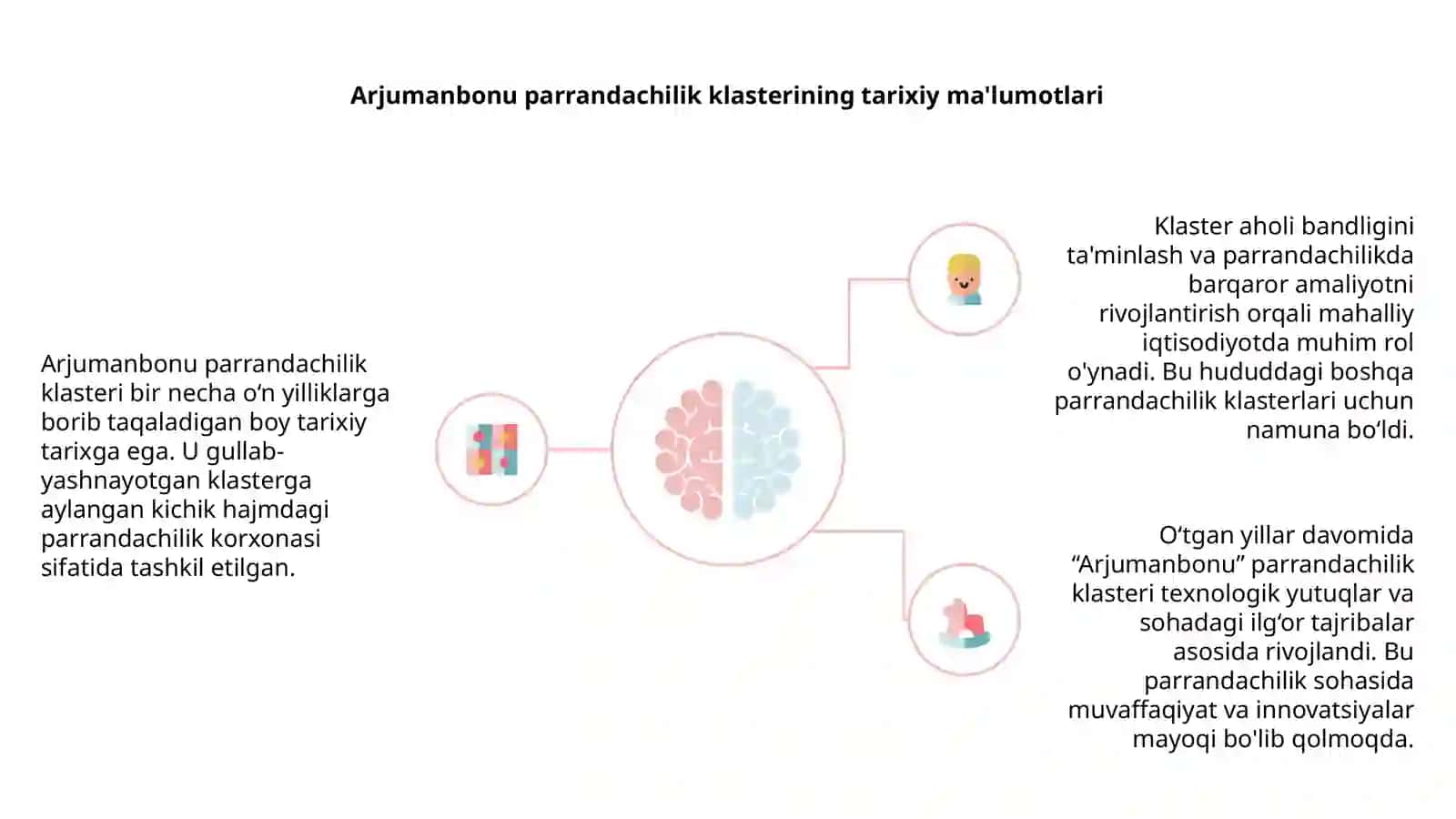 Arjumanbonu parrandachilik klasteri 4