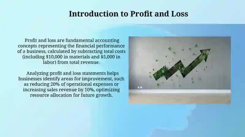Profit and Loss in Economics 4
