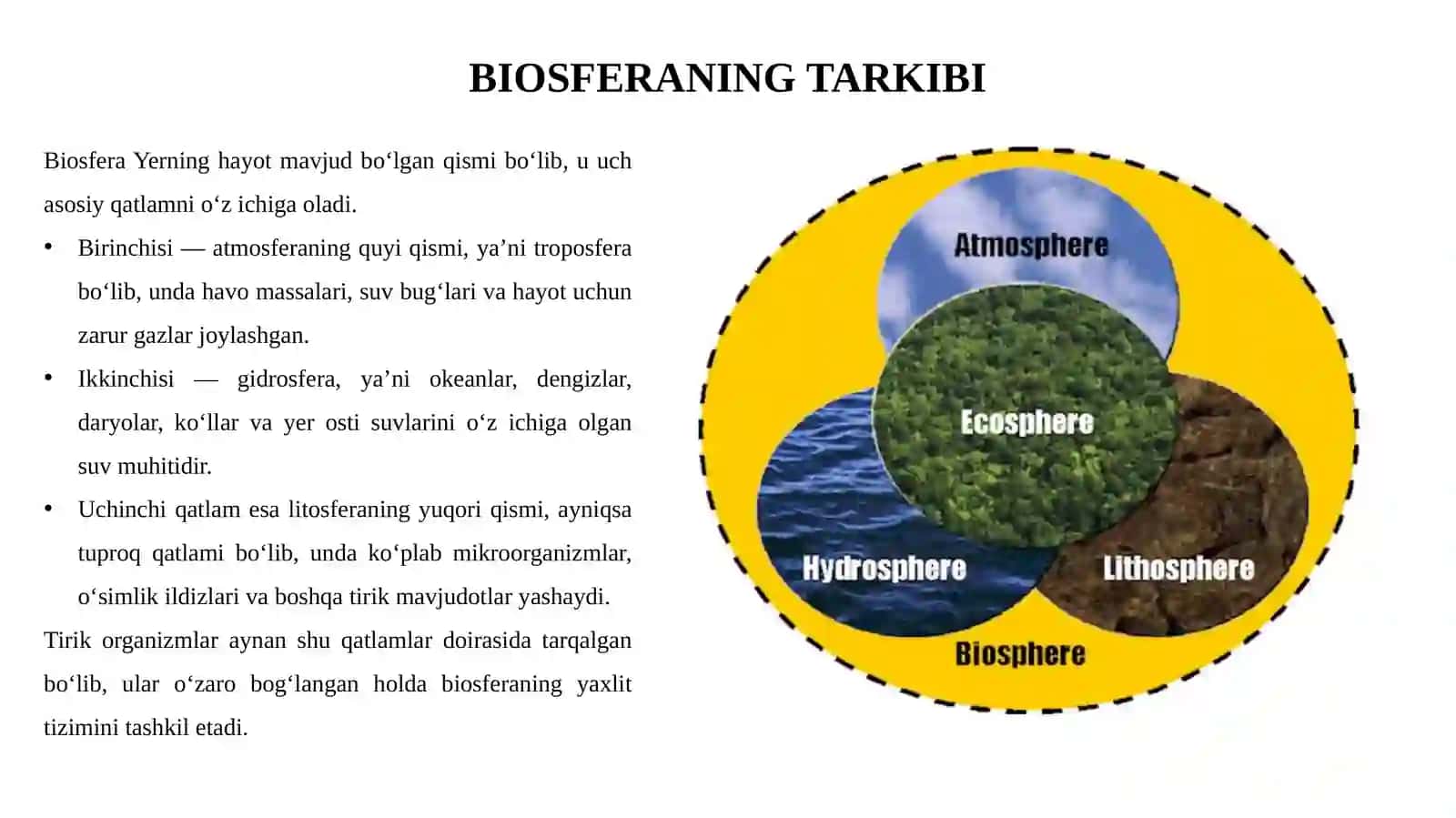 BIOSFERA 4