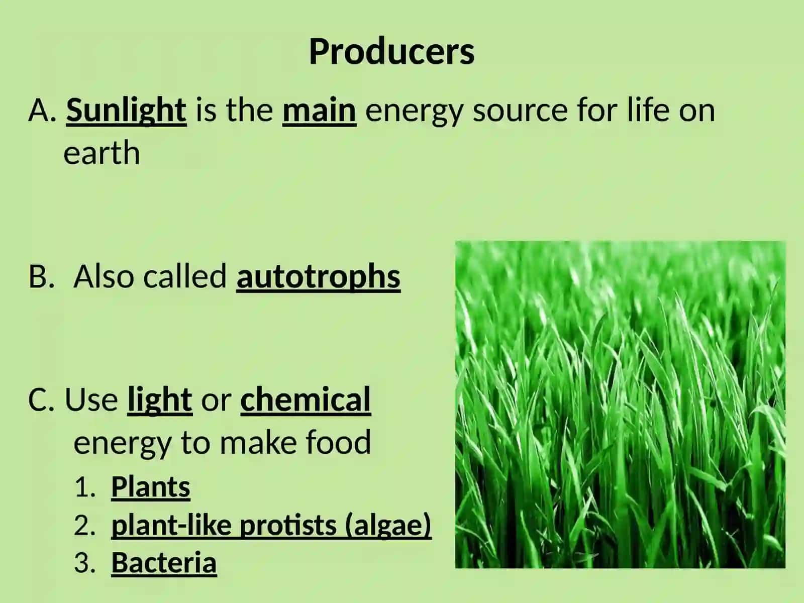 Ekologiya asoslari (Ecology Fundamentals) 4