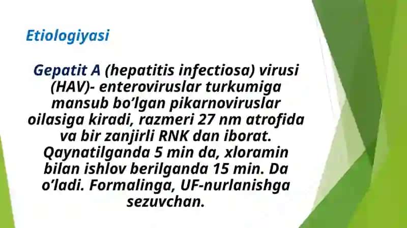 Virusli gepatit A etiologiyasi, patogenezi va davolash 4