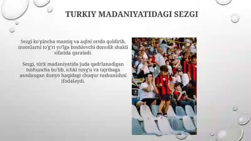 Sezgi 4