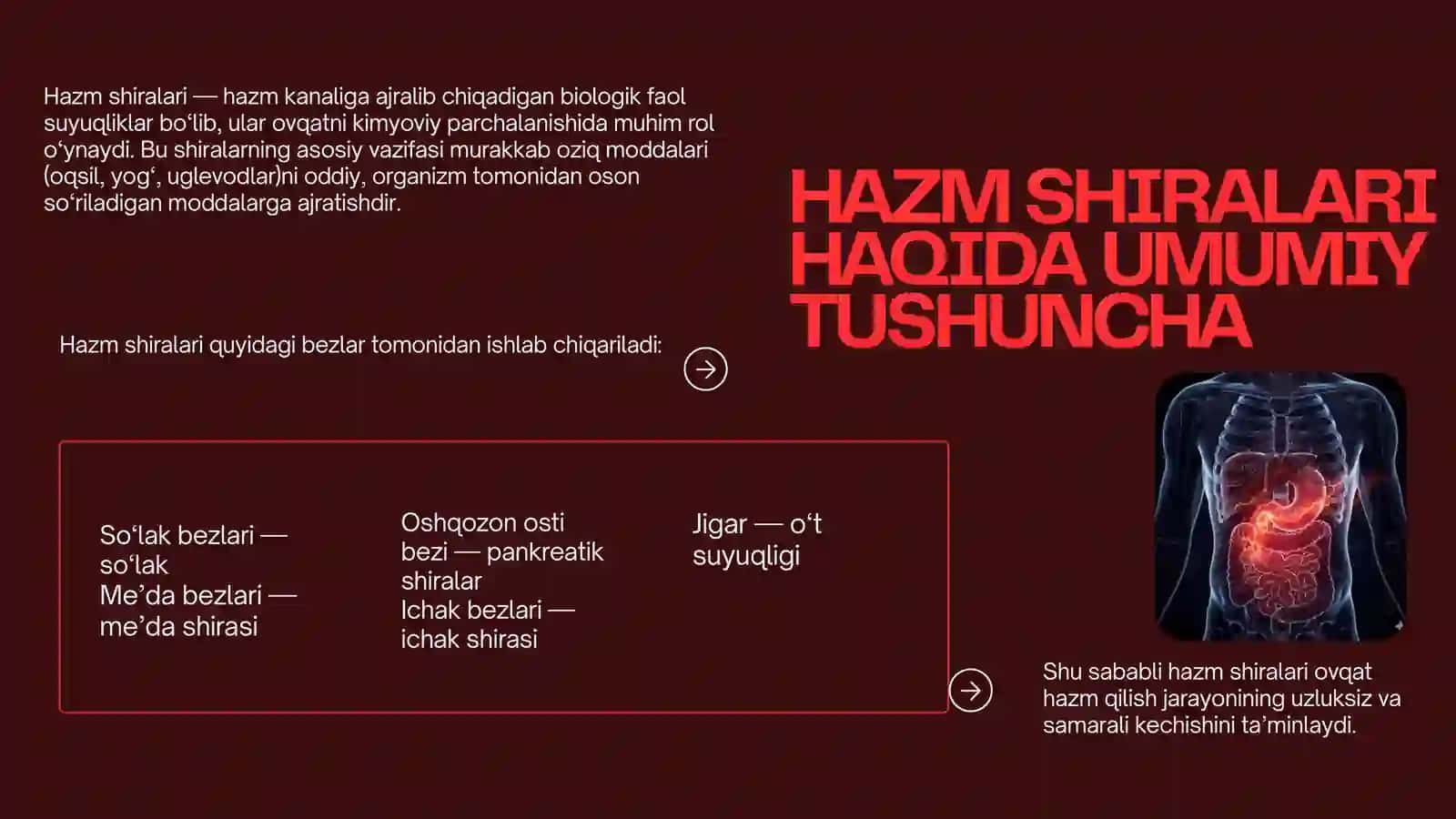 Hazm shiralari 4
