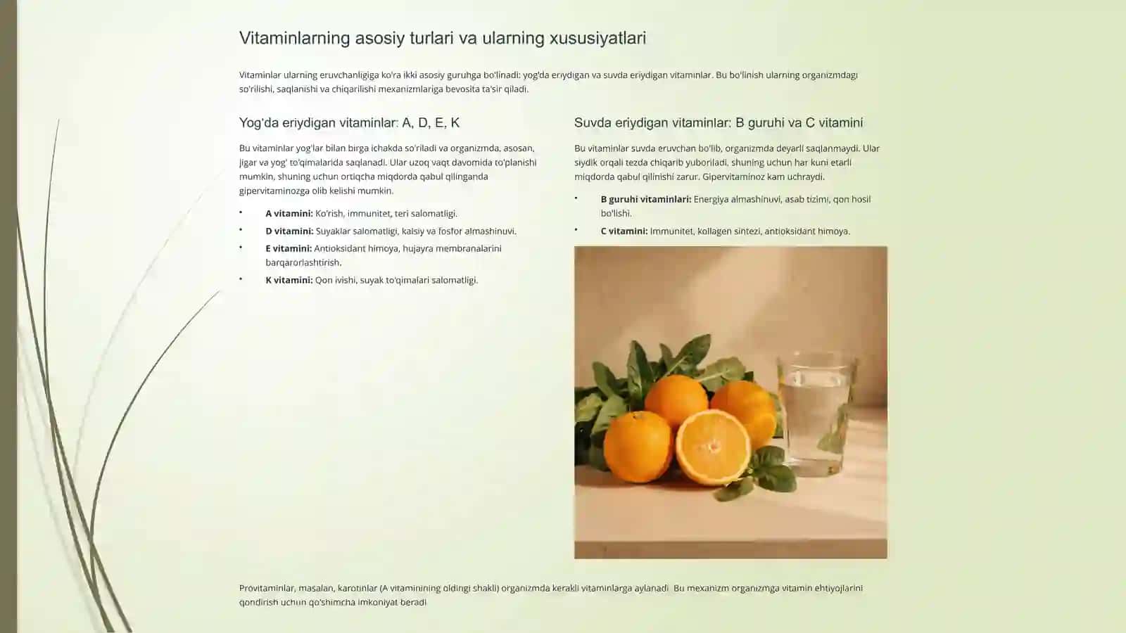 Vitaminlarning Biokimyoviy roli 4