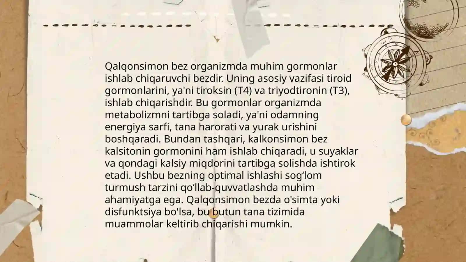 Qalqonsimon bez anatomiyasi 4