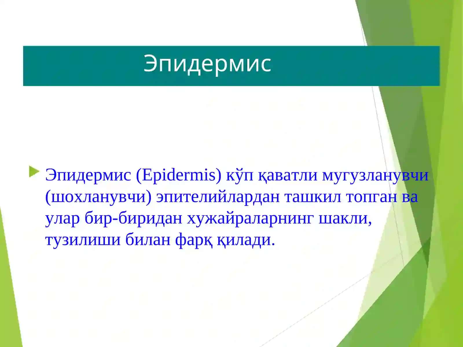 terining tuzilish elementlari 4