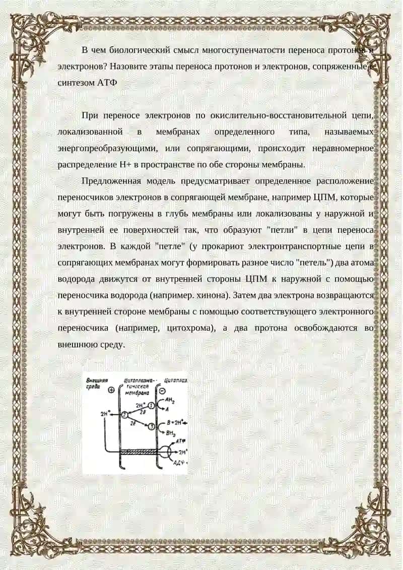 АКТИВНОСТЬ ФЕРМЕНТОВ 4