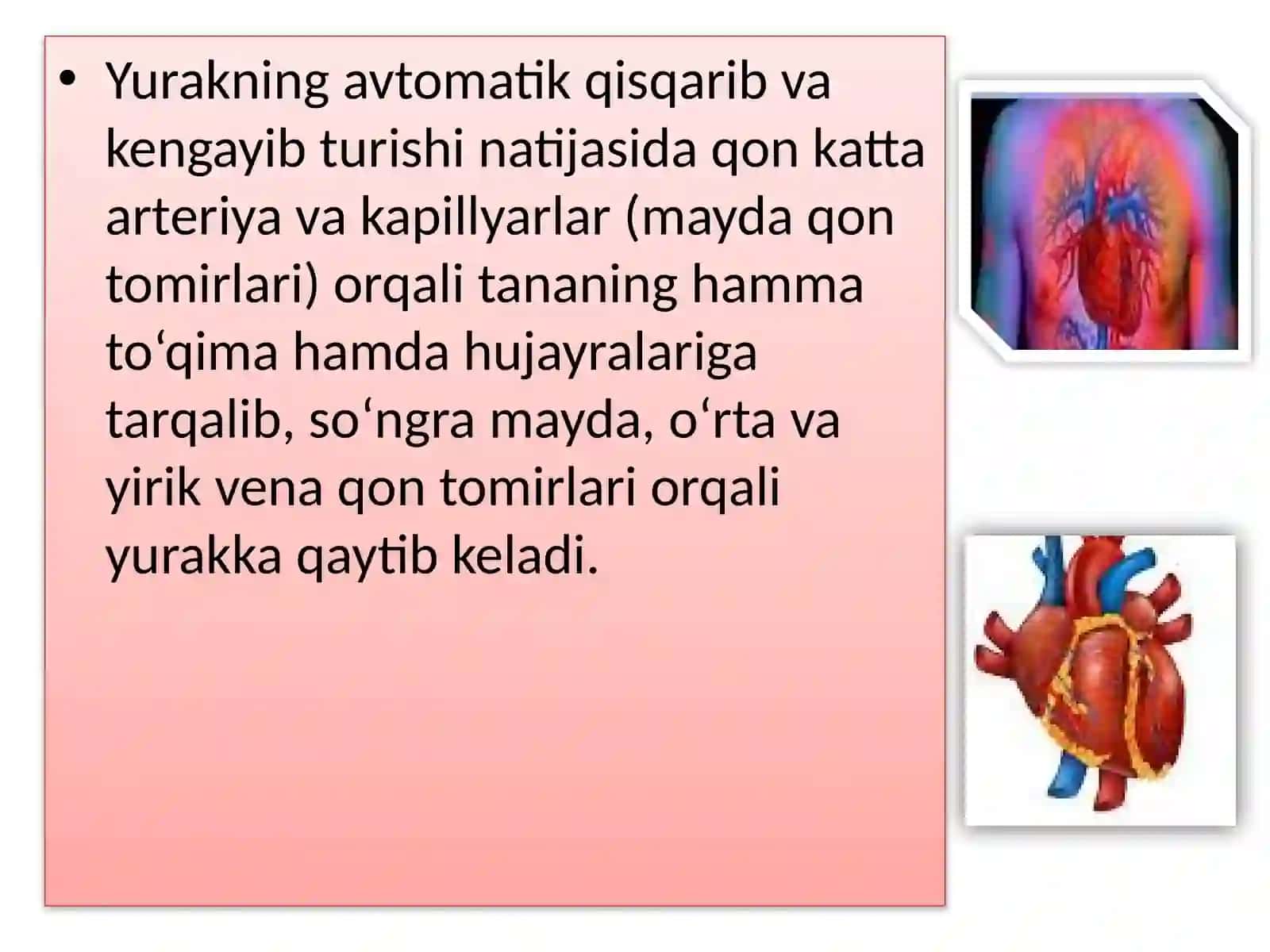 QON VA UNING TARKIBI.QON GURUHLARI 4