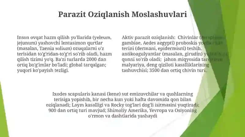 Hayvonlarning oziq topish usullari 4