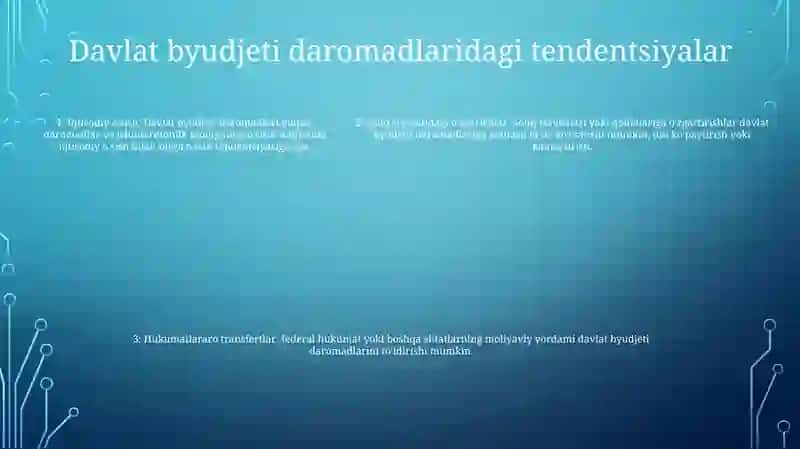Davlat Budjeti Daromadlari 4