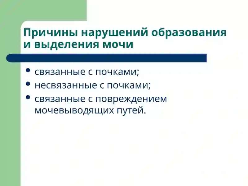 Патофизиология почек 4