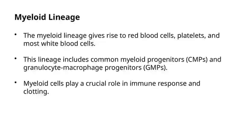 Hemocytopoiesis 4