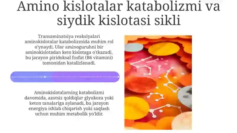 Katabolizmningumumiyyo’llari 4