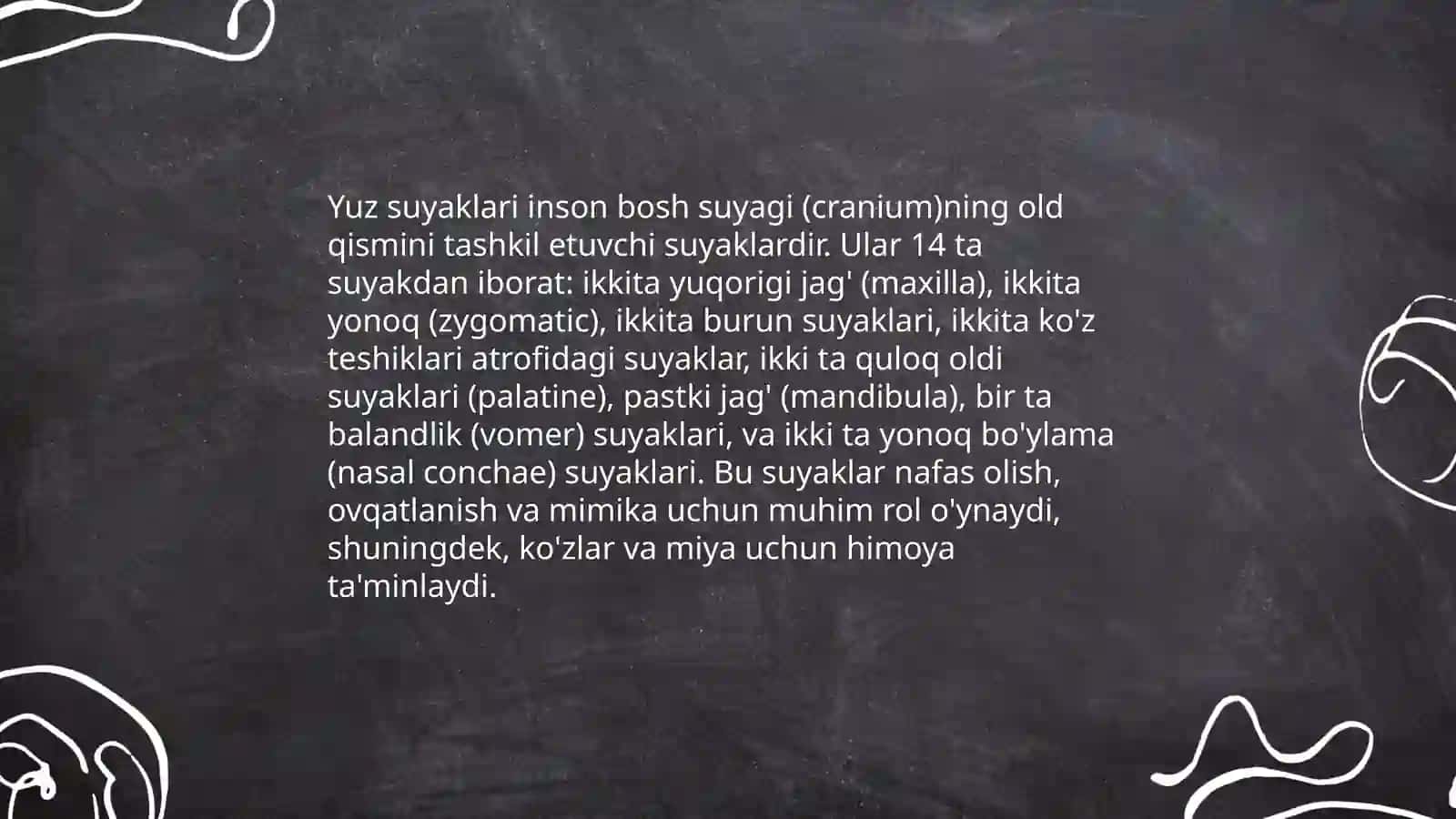 Kallaning yuz suyaklari 4