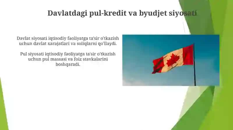 Davlatning monitar va fiskal siyosati 4