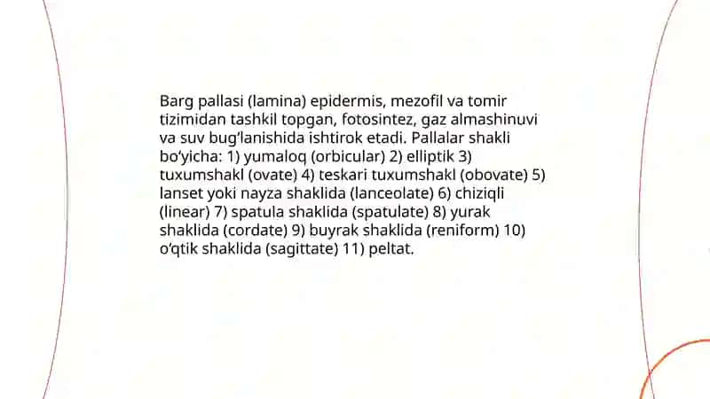 Bargning morfologik tuzilishi 4