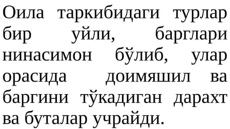 Қарағайдошлар оиласи 4