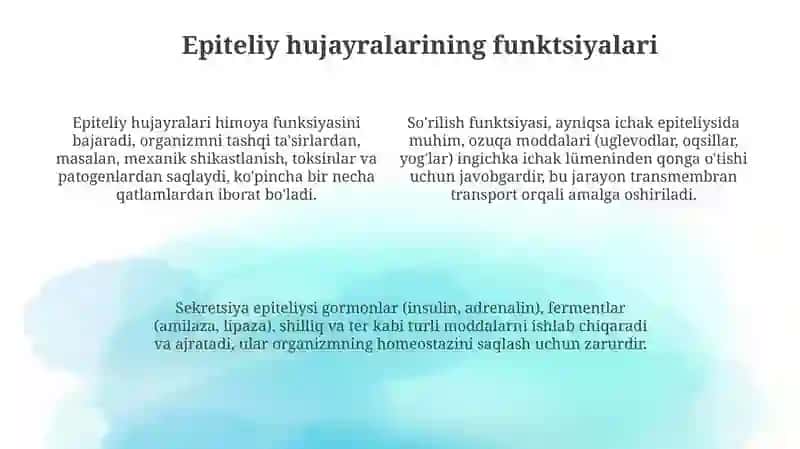 Hujayra epitelyisi 4