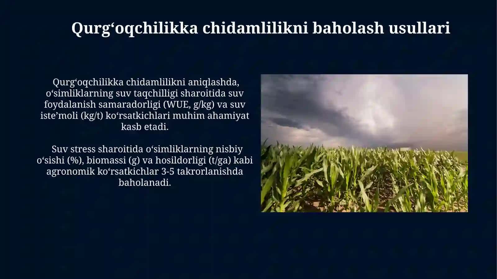 Don-dukkakli ekinlarning asosiy hususiyatlari 4