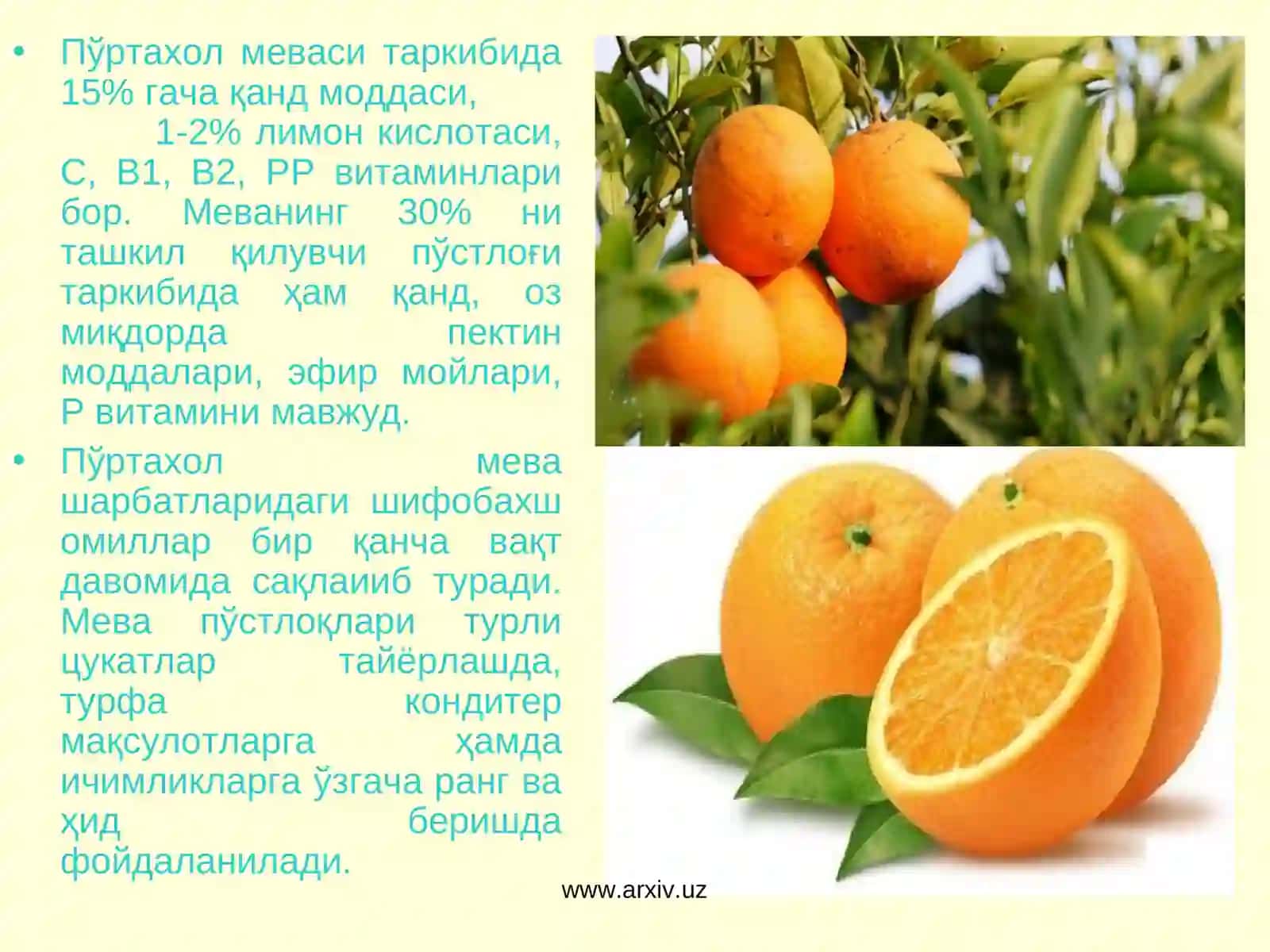 LIMONNING BIOLOGIK XUSUSIYATLARI 4