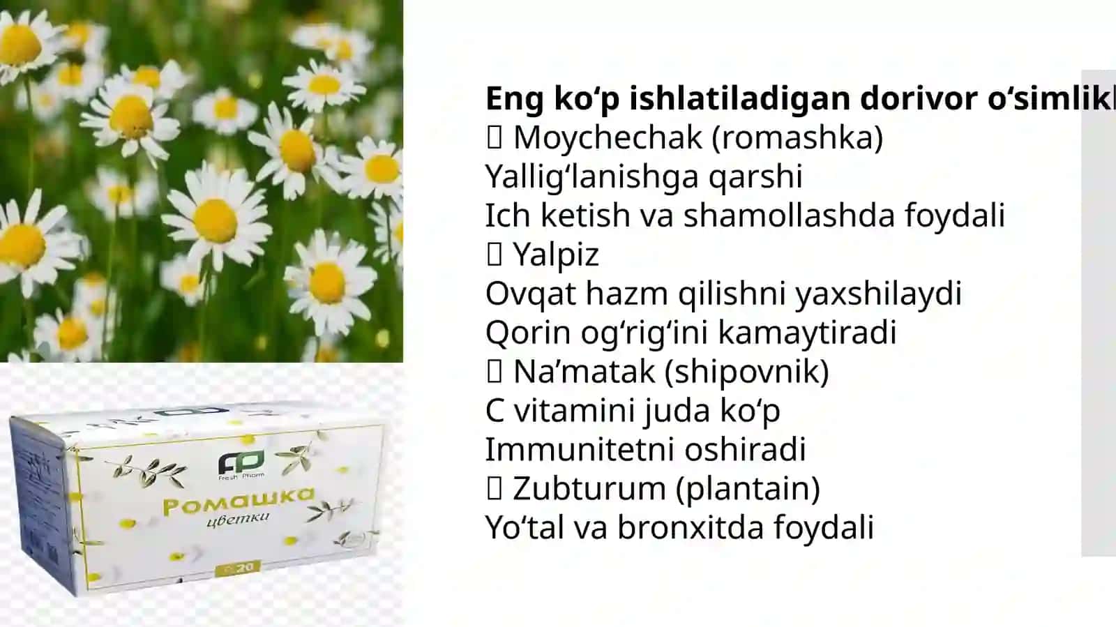 Bolalar kasalliklarida fitoterapiyaning oʻrni 4