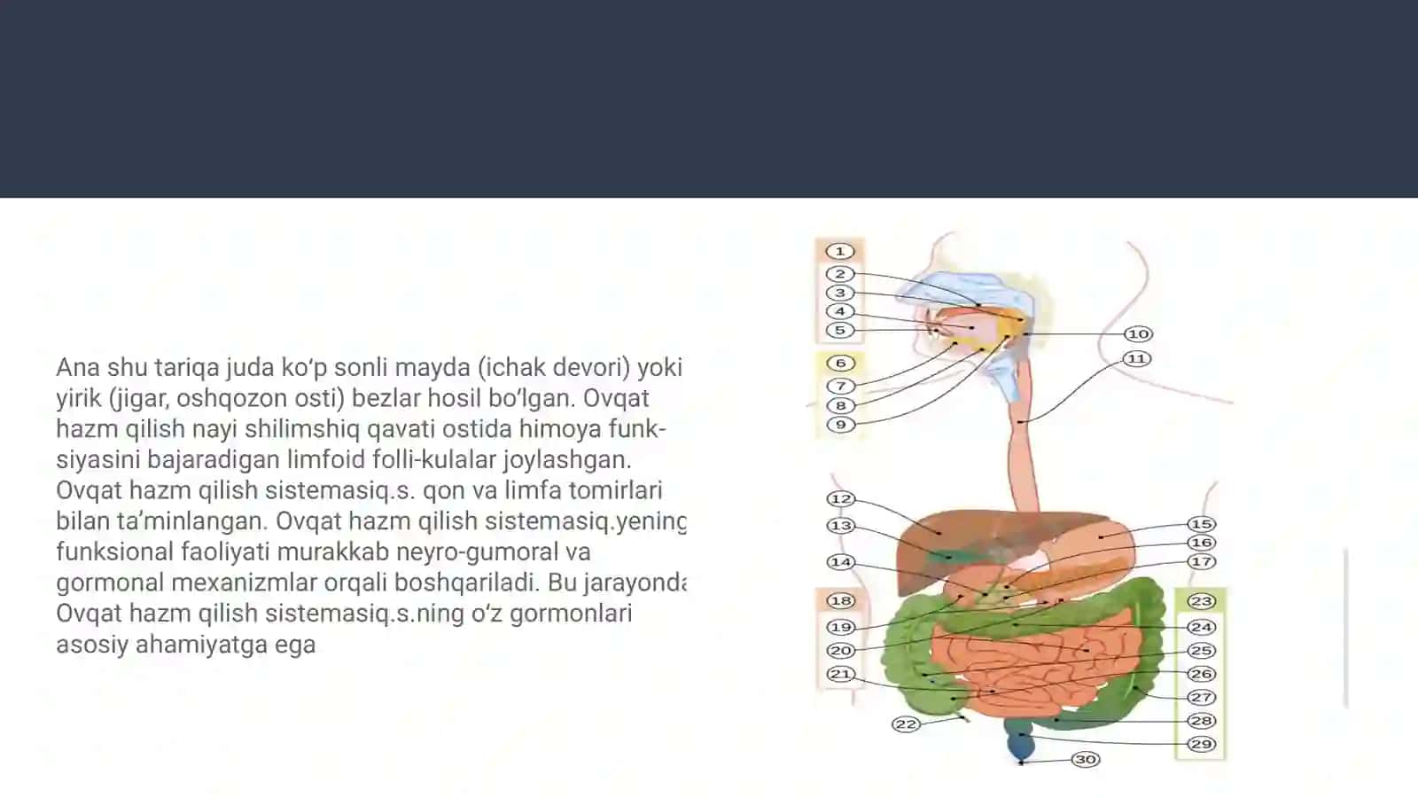 Kop tarmoqli tibbiyot texnikumi 4