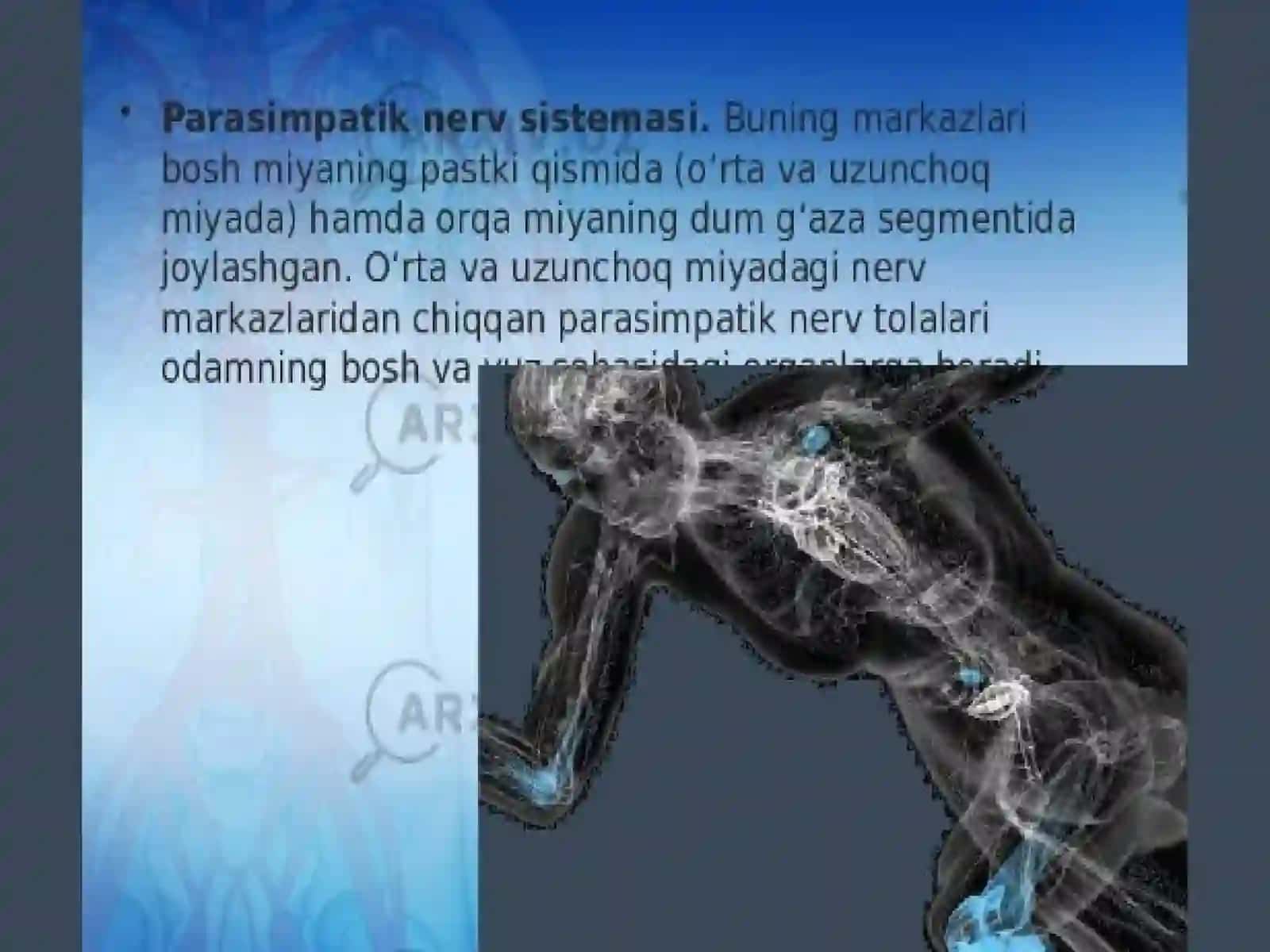Vegetativ nerv sistema faoliyatini o'rganish 4
