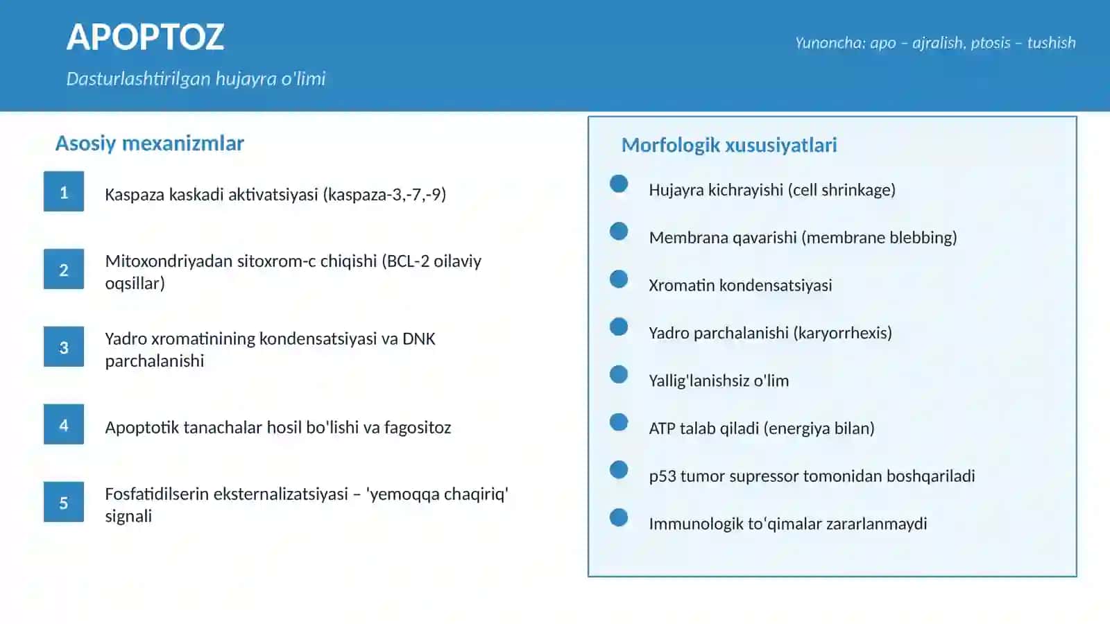 HUJAYRA O'LIMINING ZAMONAVIY KO'RINISHLARI 4