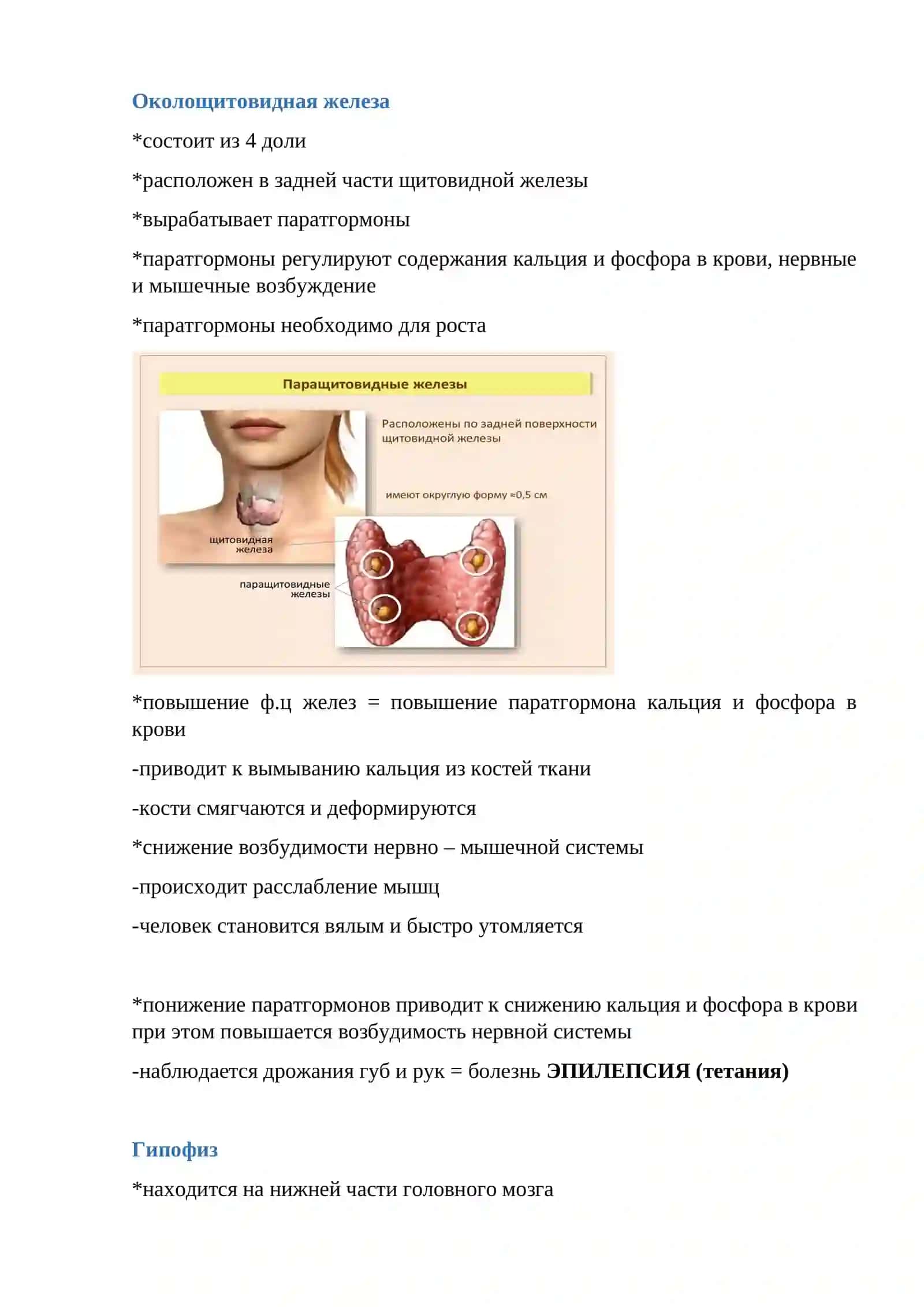 ТЕМА.ГОРОМОНЫ И ЖЕЛЕЗЫ 4