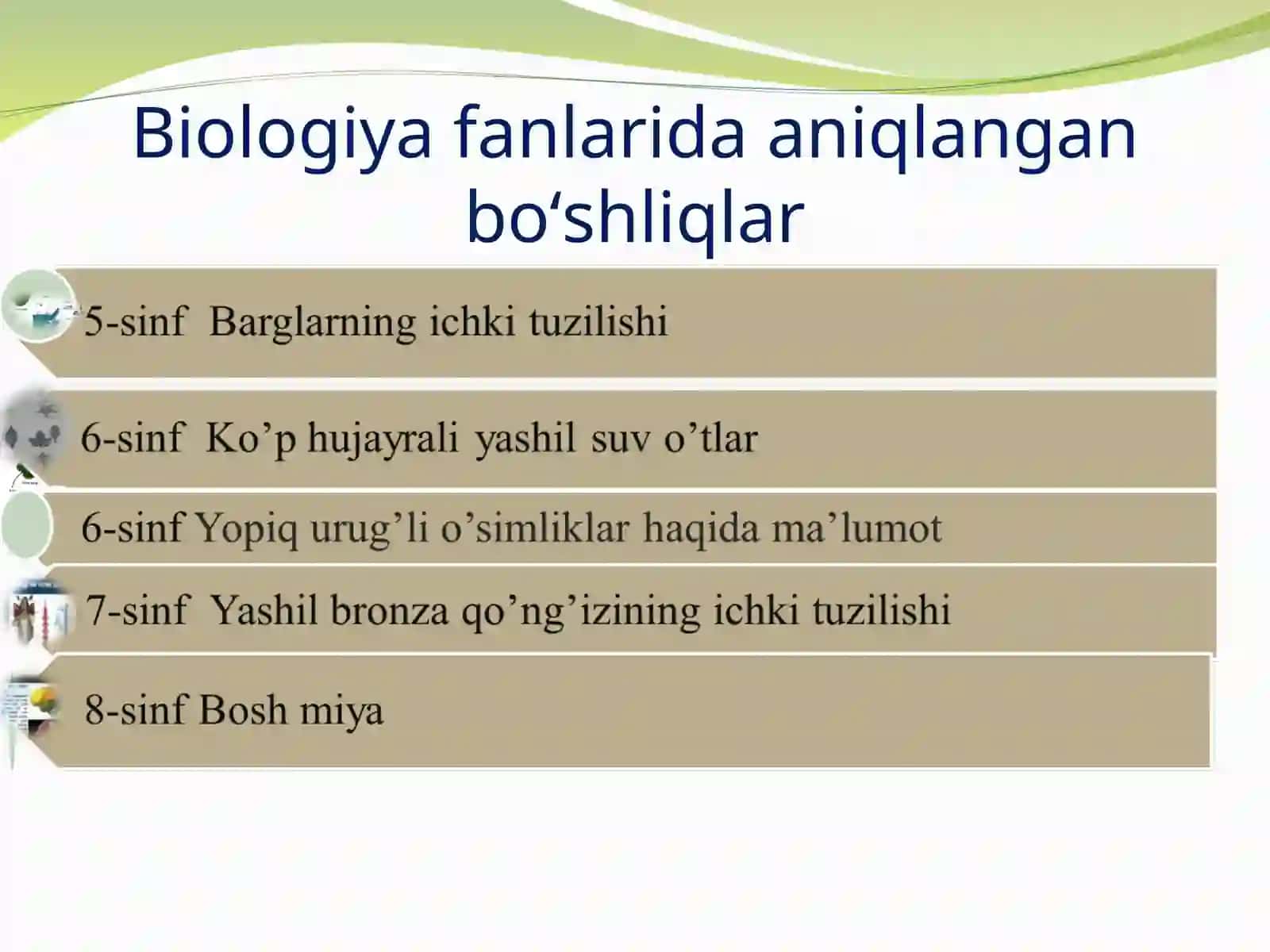 Bargning ichki tuzulishi 4