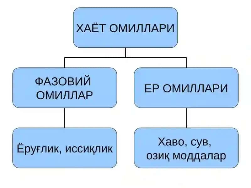 Усимликларнинг Хаёт Омиллари 4