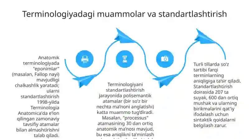 Anatomikiboralarningtarjimasi 4