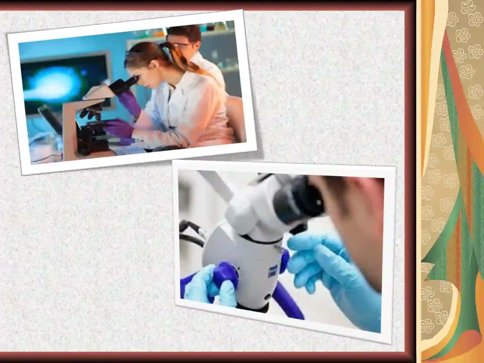 Metodologiya 4