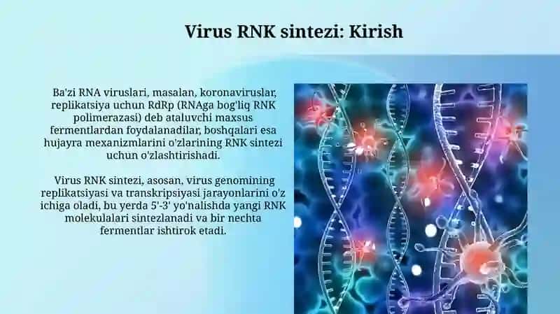 Virus RNKsining Sintezi 4
