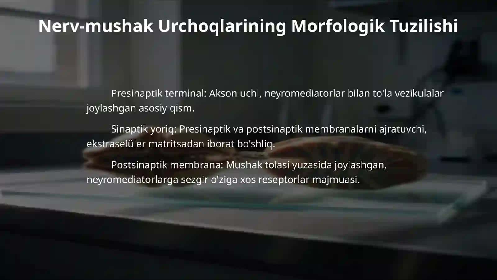 Nerv-mushak urchuqlarining tuzilishi va ishlash prinsipi 4