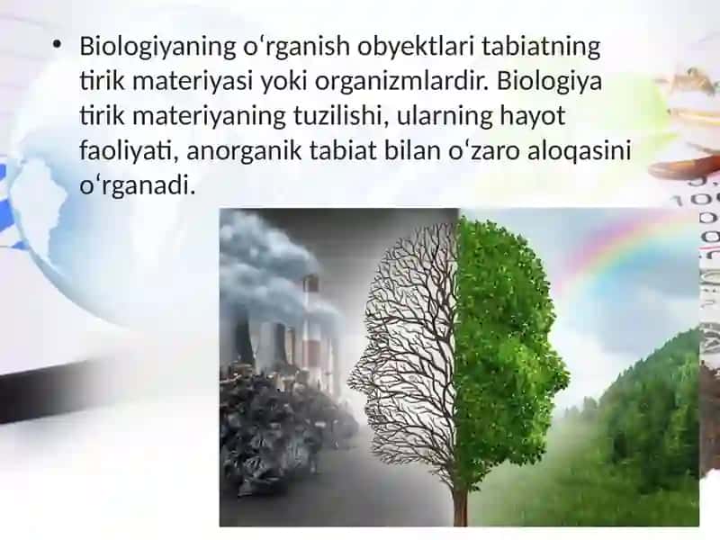 Biologiktizimlar 4